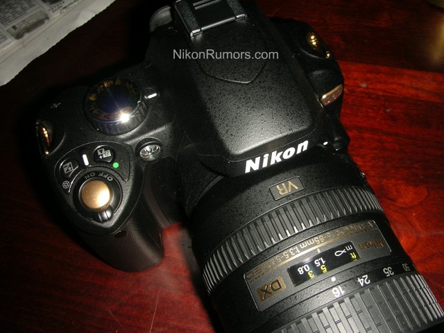 nikon d60 shots. Nikon D60 “Black Gold” still a