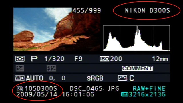nikon d300s lcd screen leaked Nikon D300s LCD screen leaked?