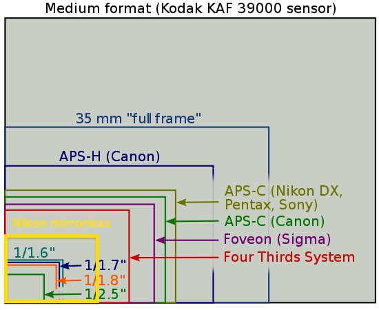 [Image: Sensor-size-diagram.png]
