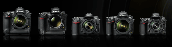 Nikon-D800-lineup.png