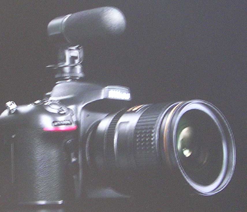 Nikon-D800.jpg