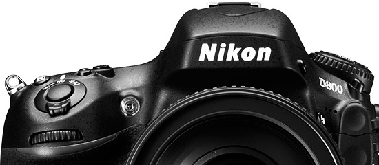 Nikon-D800-bw-top
