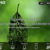 Nikon Image Space website