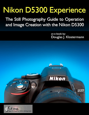 Nikon_D5300_Experience-book