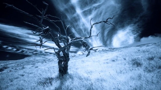 Hawaiian-infrared-time-lapse-of-haunting-Mamane-trees-made-with-IR-converted-Nikon-D5200-3