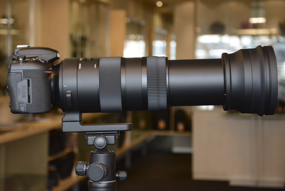Sigma 150-600mm f-5-6.3 DG OS HSM Sports lens for Nikon 15 | Nikon Rumors
