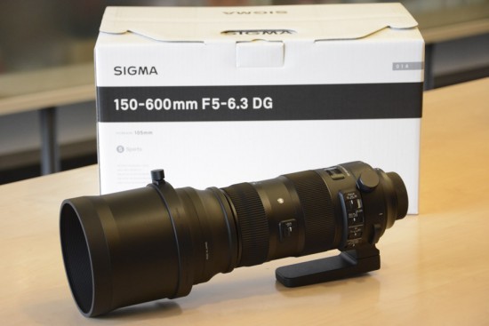 Sigma 150-600mm f-5-6.3 DG OS HSM Sports lens for Nikon 3