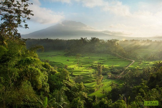 David-Lazar_Hidden-Bali-Rice-Terraces_Luminous-Journeys