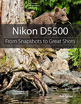 Nikon-D5500--From-Snapshots-to-Great-Shots