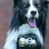 Nikon-Heartography-pho-dog-grapher-with-heart-rate-triggered-camera-2