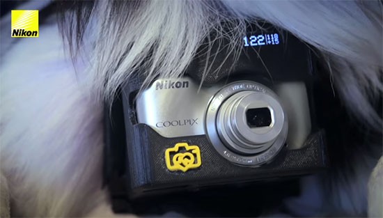 Nikon-Heartography-pho-dog-grapher-with-heart-rate-triggered-camera