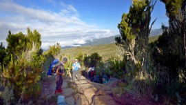 Kilimanjaro_machame_0333