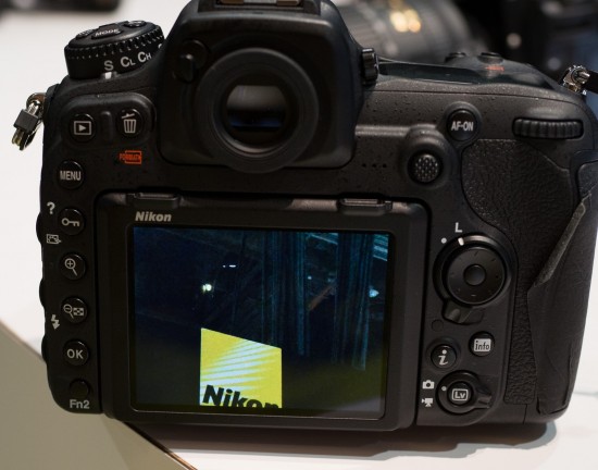 Nikon D500 ISO Hi1 100% crop