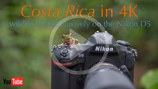Nikon-D5-DSLR-camera-Costa-Rica-wildlife-video-in-4K