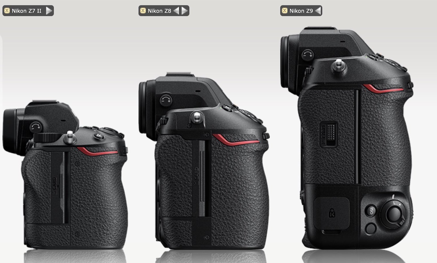 Should You Buy the Nikon Z8 or Z9?