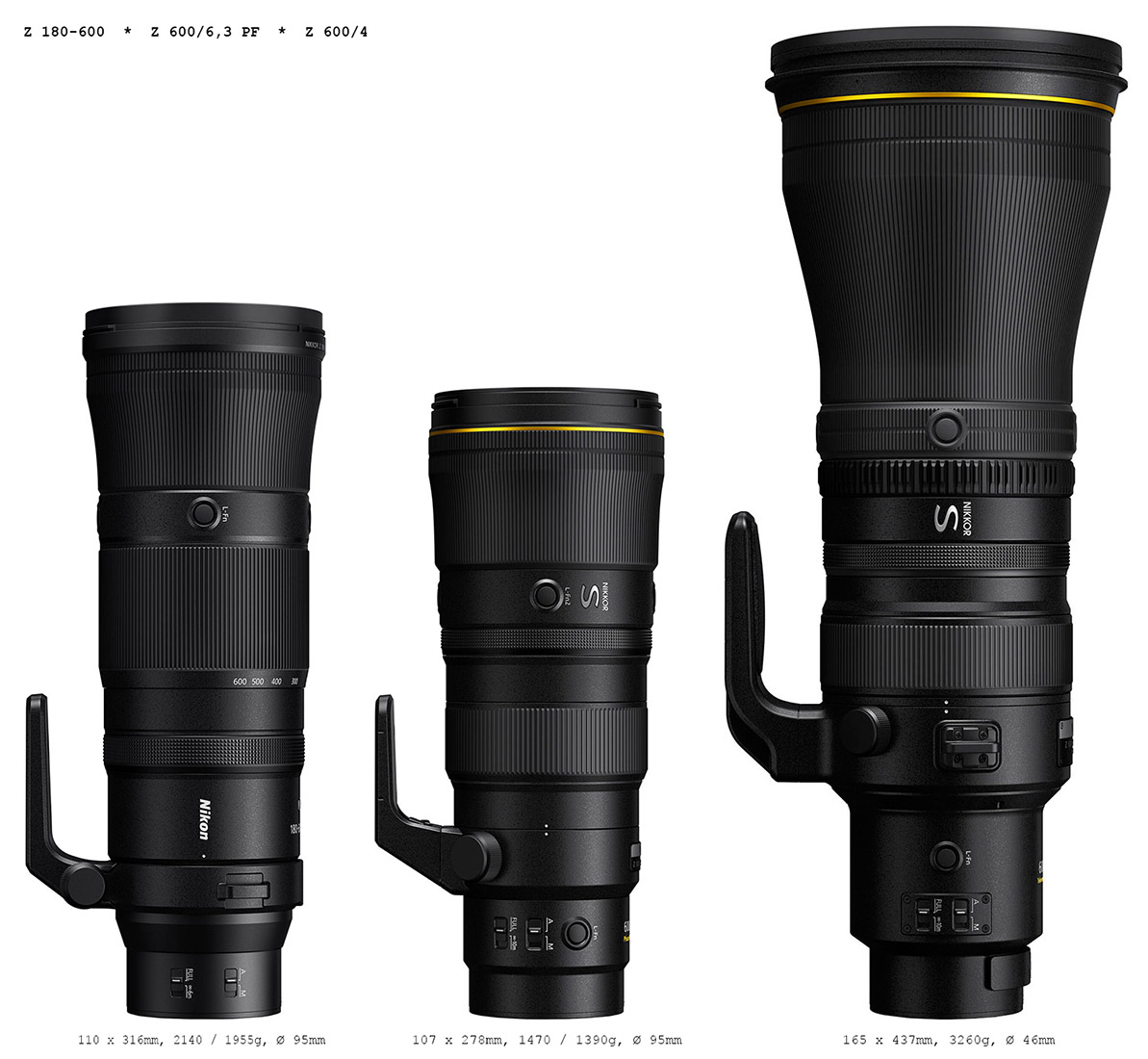 Nikon Nikkor Z 600mm f/6.3 VR S lens additional coverage - Nikon