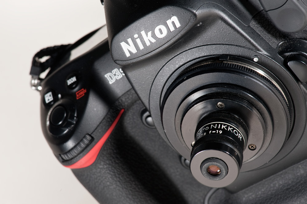 nikon lens for macro photography