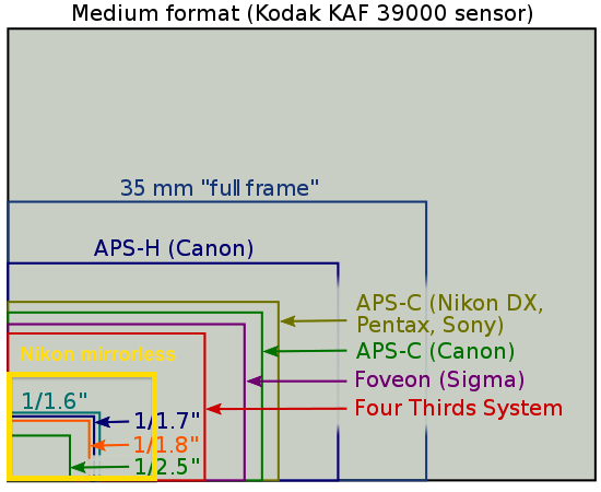 medium format vs full frame sensor size