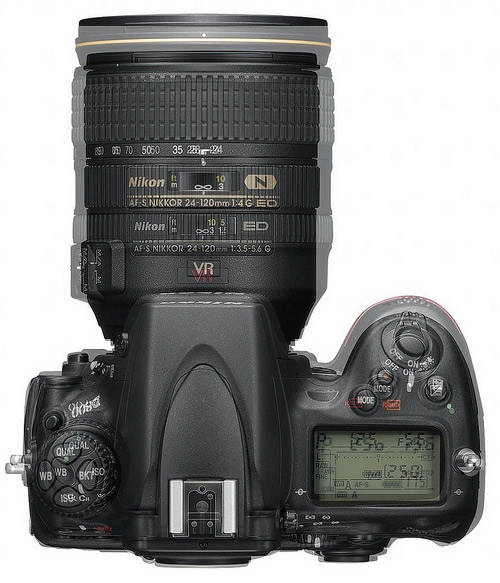 Nikon D800 D700 size Nikon Rumors