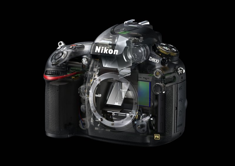 Shetland Faithful Marco Polo Major firmware update for the Nikon D800/D800E released - Nikon Rumors