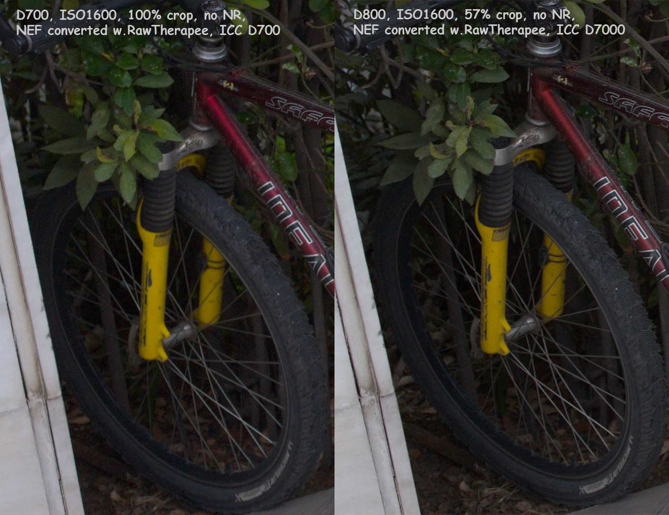 Another Nikon D700 vs. Nikon D800 high ISO comparison - Nikon Rumors