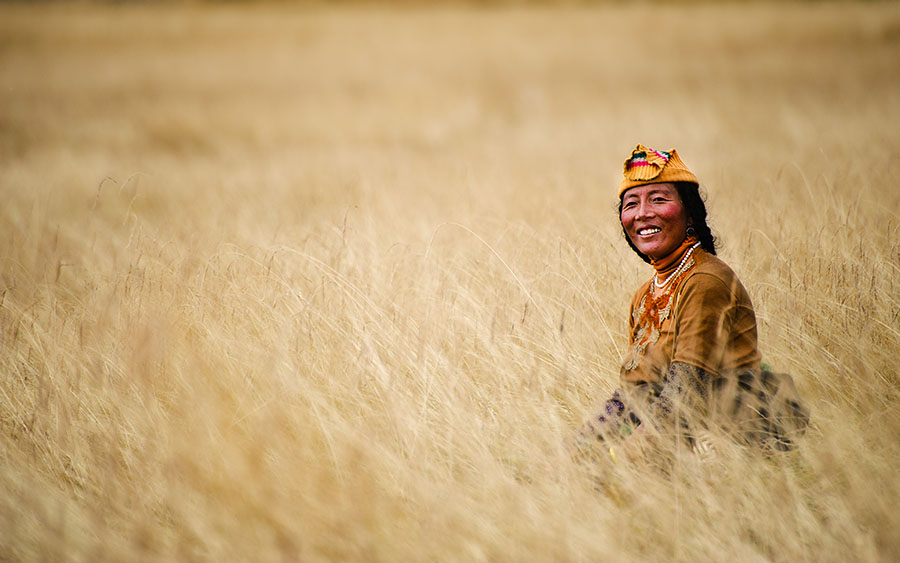 Tibetan nomad on the grasslands. Tibetan plateau