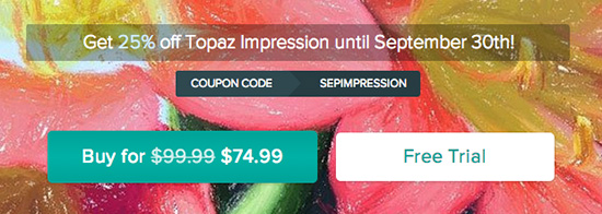 topaz studio 2 coupon