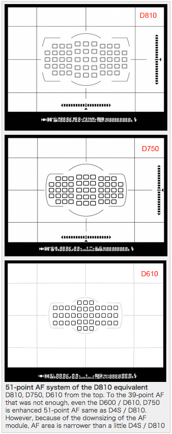 Difference Between Nikon D750 and D810  Compare the Difference Between  Similar Terms