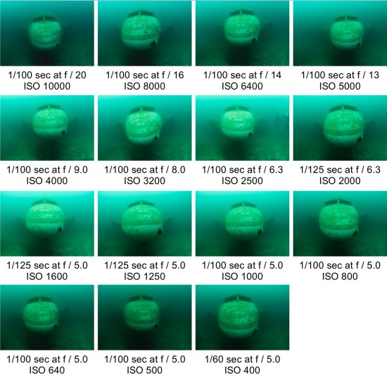Nikon-D810-underwater-review_07