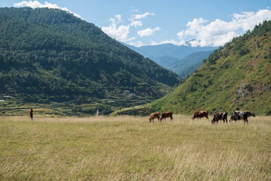 Visiting Bhutan 3