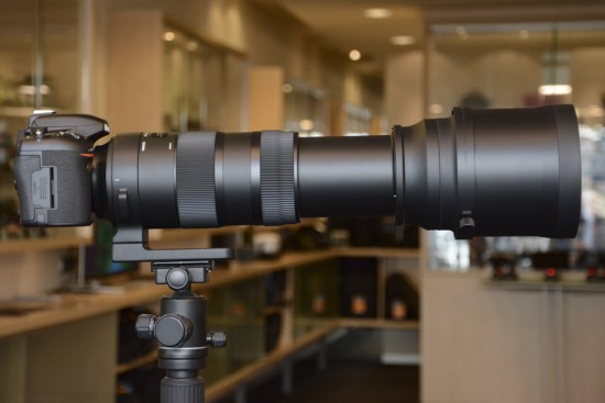 Sigma 150 600mm Lens Firmware Updates For Nikon D500 Cameras Released Nikon Rumors