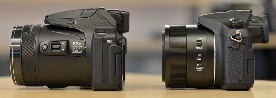 Bekentenis aanvaardbaar Raffinaderij This is what the Nikon Coolpix P900 camera's 83x zoom at 2000mm looks like  - Nikon Rumors