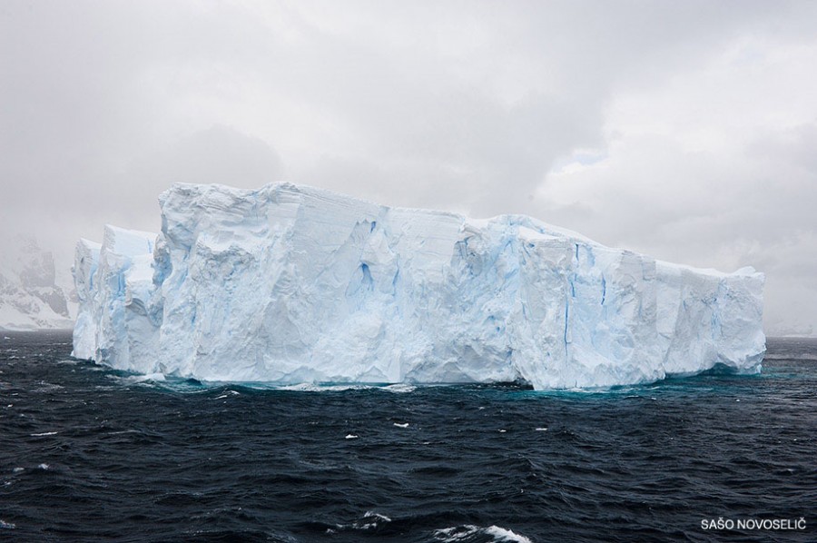 Antarctica with the Nikon D700 camera - Nikon Rumors