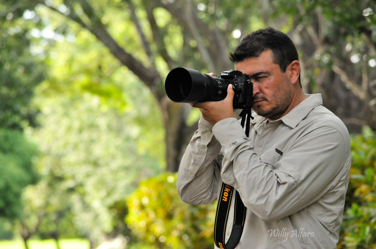 The Nikon Af S Nikkor 300mm F 4e Pf Ed Vr Lens Review For