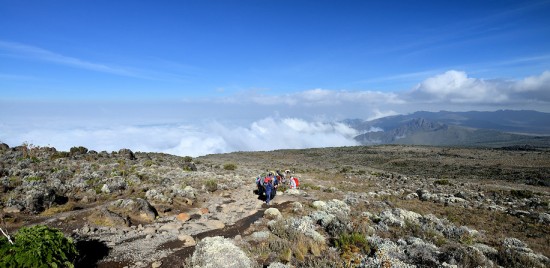 Kilimanjaro_0374