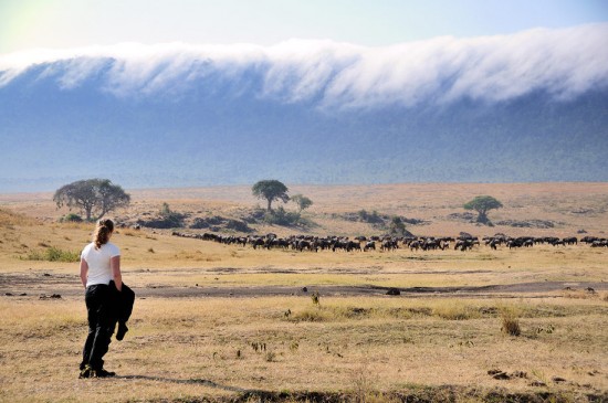 Ngorongoro_1966