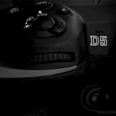 Nikon-D5-camera-rumors
