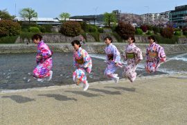 Kyoto cherry blossoms31