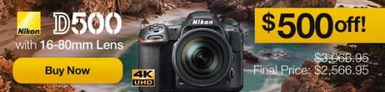 Nikon D500 rebate