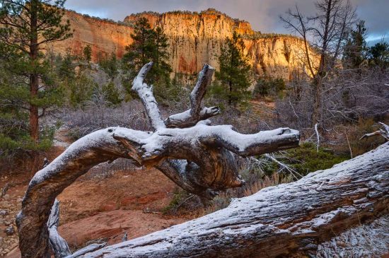 A Light Dusting