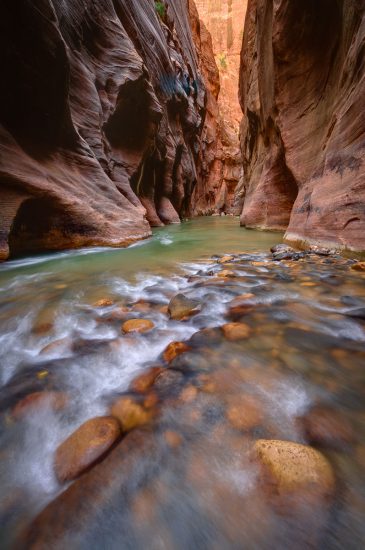 Green in the Canyon