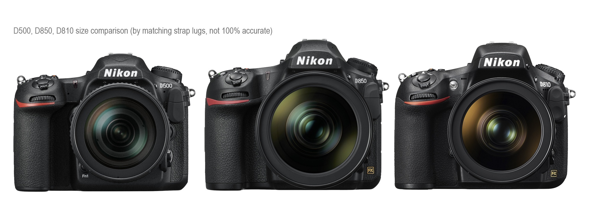 Additional Nikon D850 coverage - Nikon Rumors