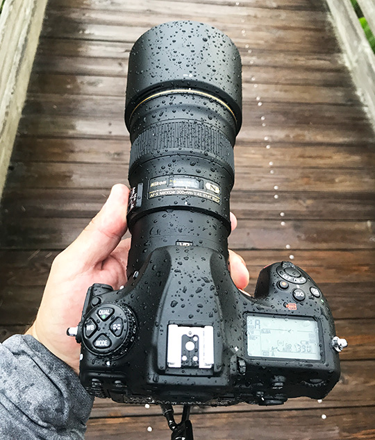 Nikon D850 review - Nikon Rumors