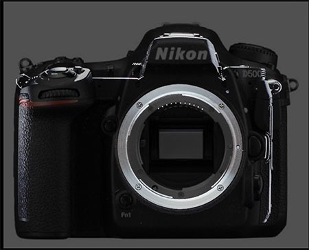Nikon mirrorless camera compared with D500 © Issy Nomura