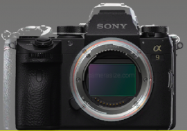 Nikon mirrorless camera compared with Sony a9 © Drororomon