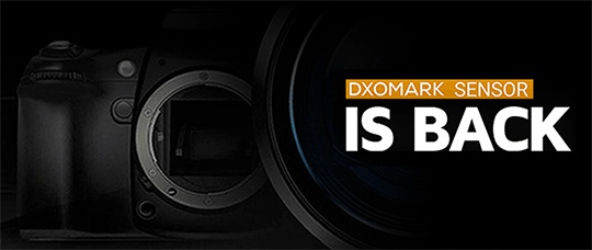 Nikon Z6 II Sensor review: Familiar sensor performance - DXOMARK