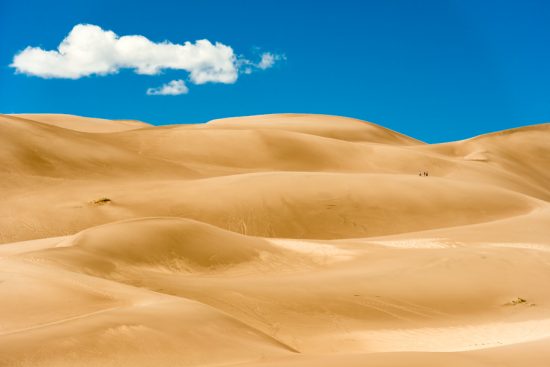 Nikon-desert-picture-550x367.jpg