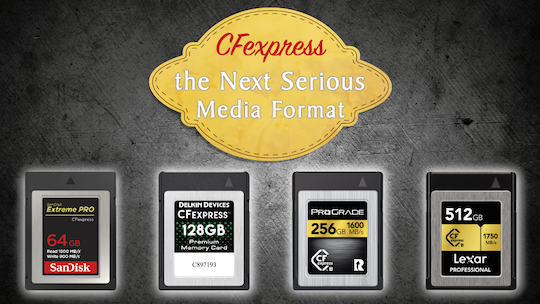 SanDisk CFExpress memory cards now compatible with Nikon Z6 and Z7 