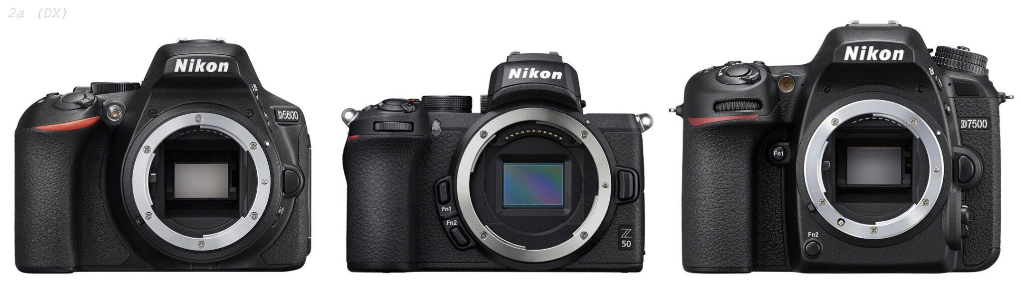 Nikon Z vs. Nikon F comparisons Nikon Rumors