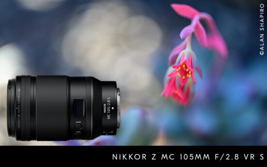 The Nikon NIKKOR Z MC 105mm f/2.8 VR S macro lens is now in stock